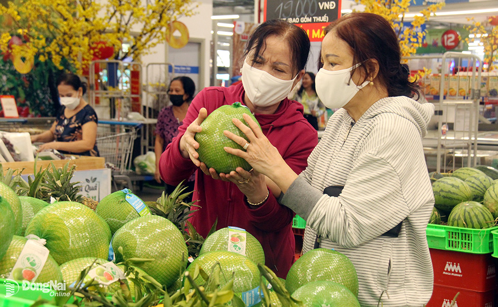 Chỉ số giá tiêu dùng 7 tháng đầu năm 2024 tăng 4,12% so với cùng kỳ