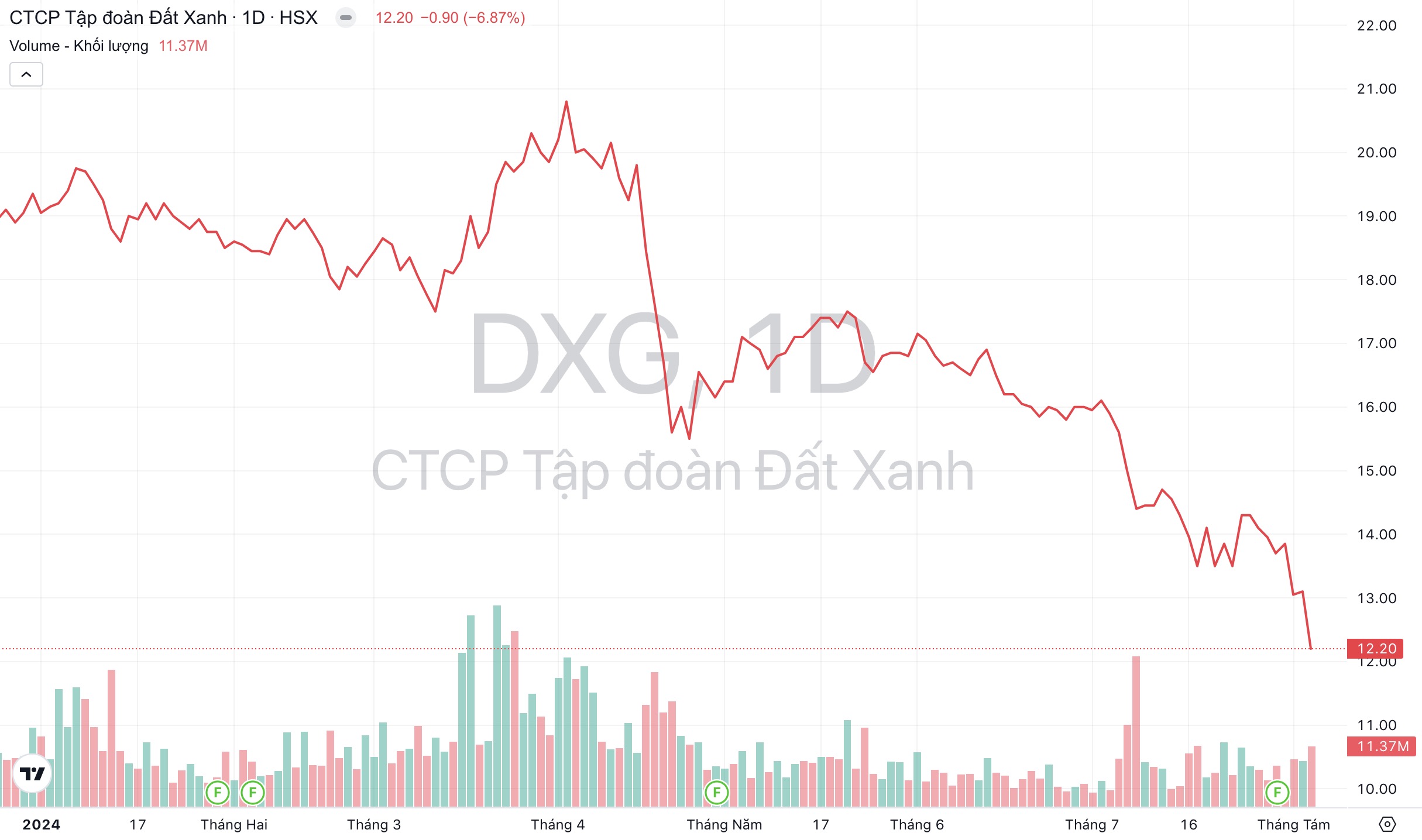 Giá cổ phiếu DXG Tập đoàn Đất Xanh