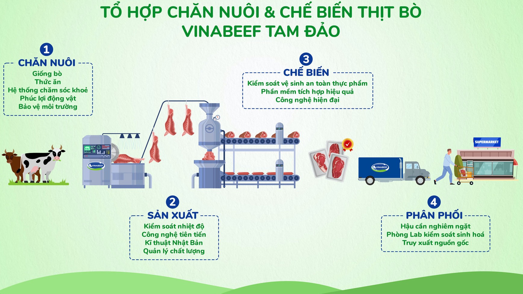 Quy trình chăn nuôi thịt bò